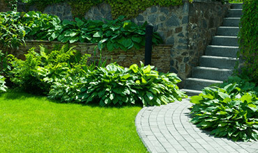 Sélection d'arbres et plantes adaptés au climat d'Orléans et du Loiret - aménagement paysager