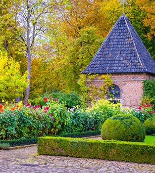 Entretien de jardin professionnel à Orléans - aménagement paysager par Mathias Élagueur