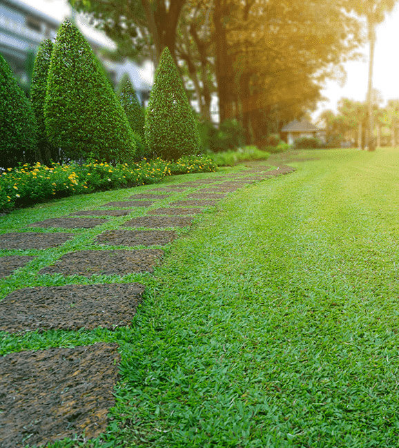 Aménagement paysager professionnel à Orléans - Mathias Élagueur expert du Loiret